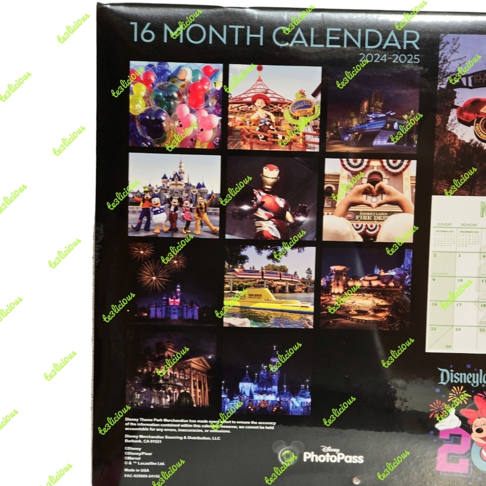 DISNEYLAND 24-2025 16 MONTH CALENDAR - Picture 3 of 4